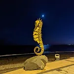 Palmas * Тарахалехо