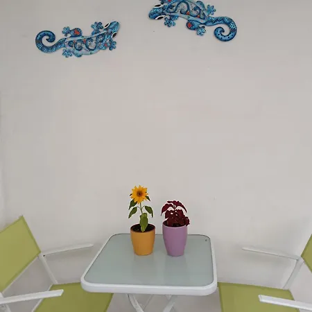 Palmas * タラハレホ