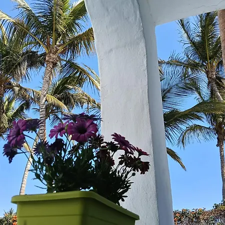 Palmas Apartamento